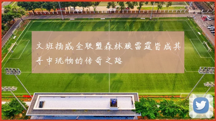文班扬威全联盟森林狼雷霆皆成其手中玩物的传奇之路